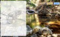 /album/pokedex-classico/a105-cronect-jpg/